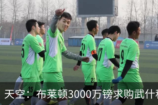 天空：布莱顿3000万镑求购武什科维奇，预计热刺对其估值超6000万